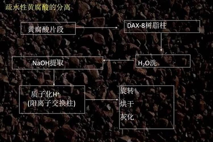 怎么能让小蕃茄长的粗壮