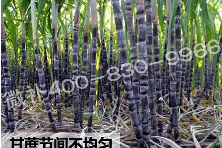 氮磷钾复合肥是什么肥料
