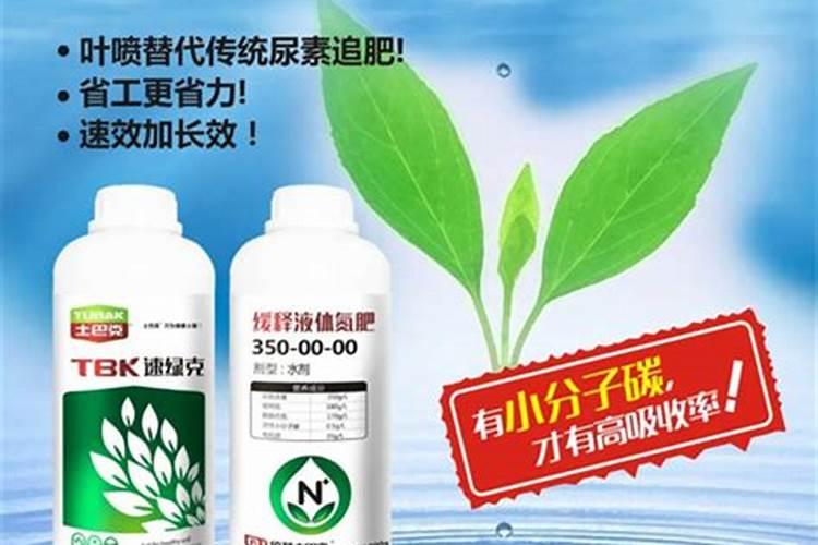稻花香2号可种旱稻吗