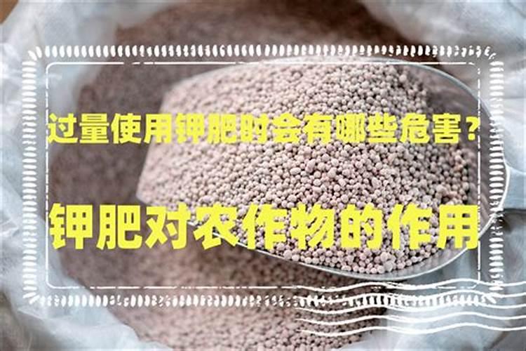 水溶肥加水溶化后能放多久
