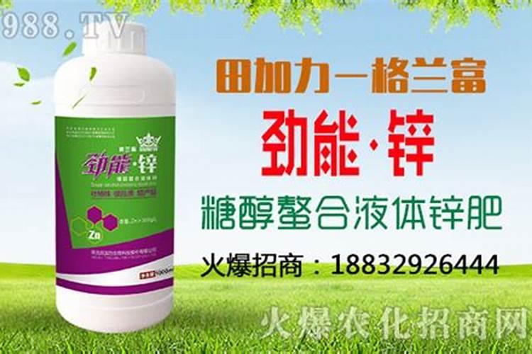 薄荷施什么肥,薄荷施肥时的两大注意