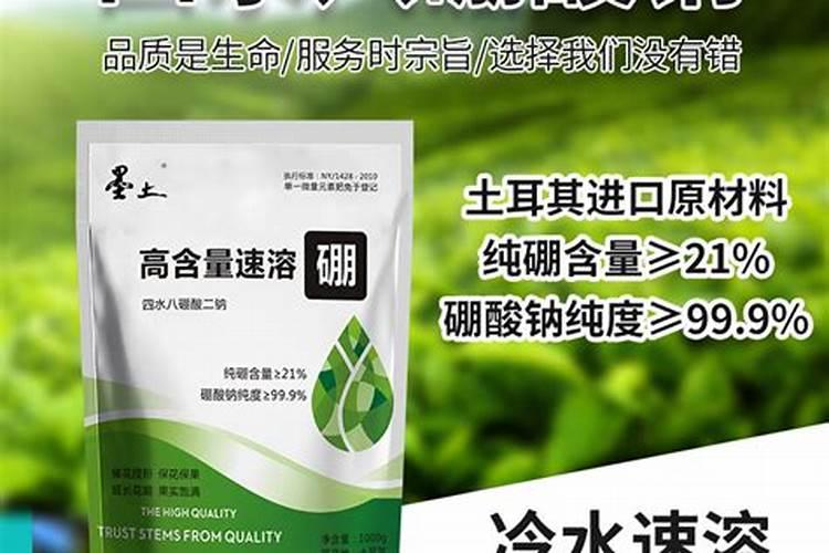橘子树用什么肥好 施肥方法有哪些