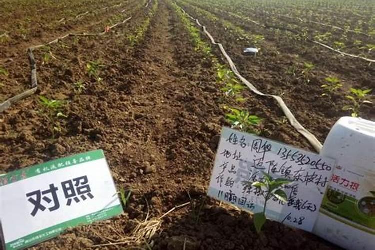 元素水溶肥料中毒的处理