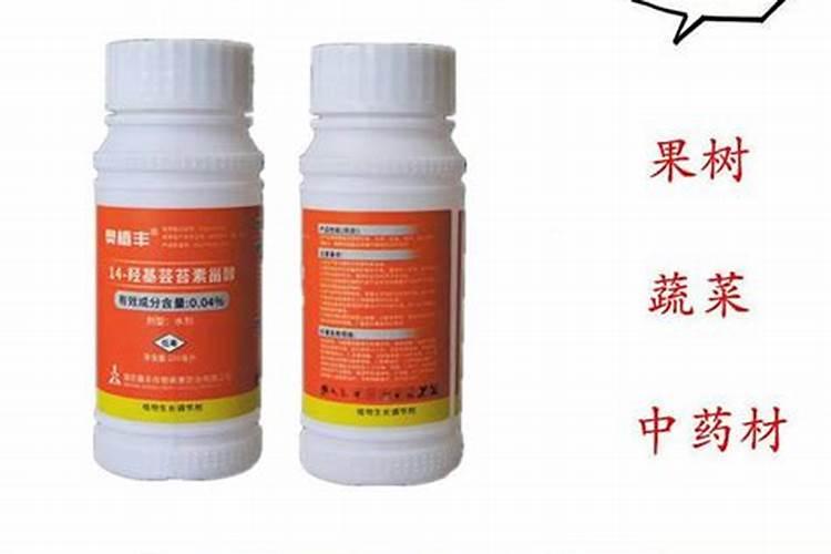 薄荷施肥方法,用什么肥好