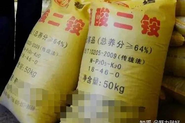 薄荷施什么肥,薄荷施肥时的两大注意