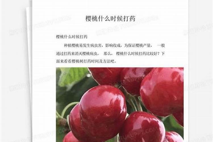 樱桃树流胶怎么治？