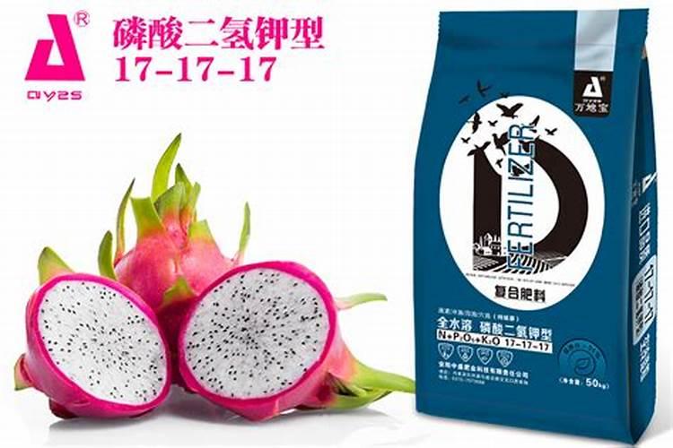 火龙果薄肥勤施施肥方法
