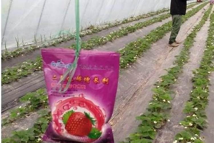 怎么鉴别进口水溶肥的真假
