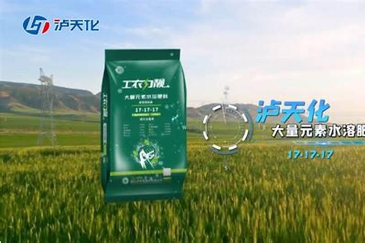 芒果树应该怎样施肥,芒果树的施肥技术