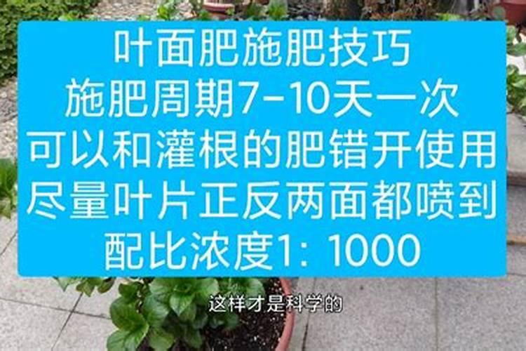 30斤水放多少硼肥