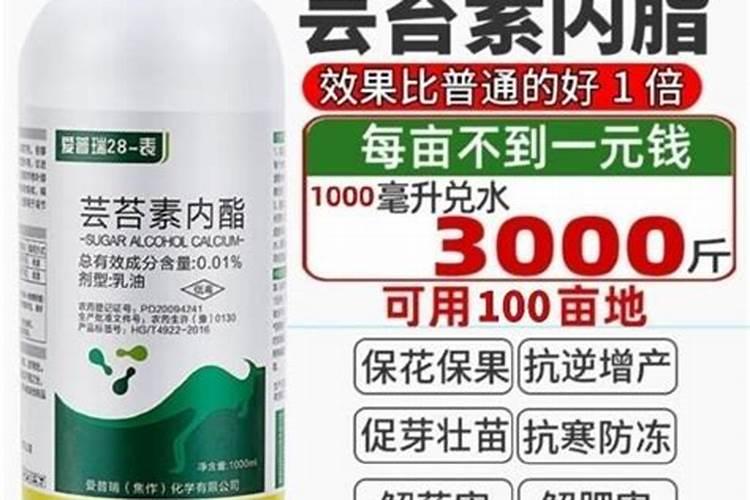 常用氮肥有哪些类型？