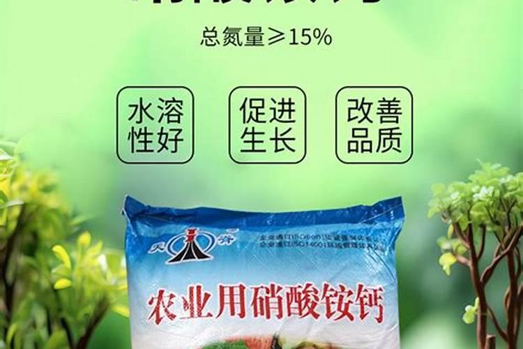 水培绿萝用什么肥料长得快