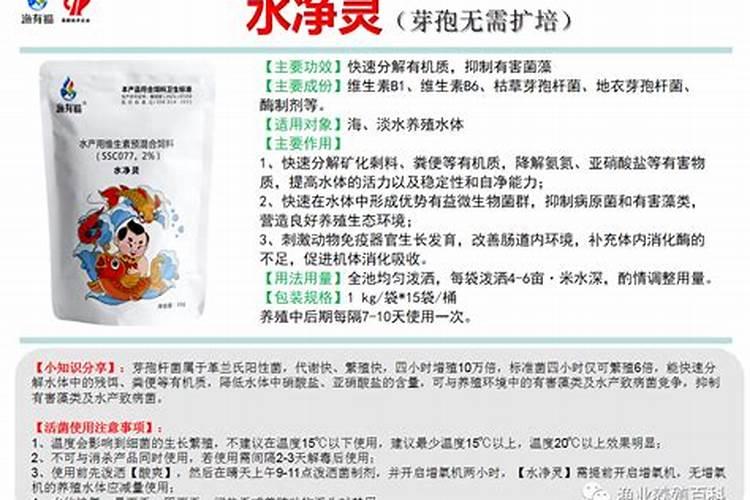鱼缸氨气如何去除