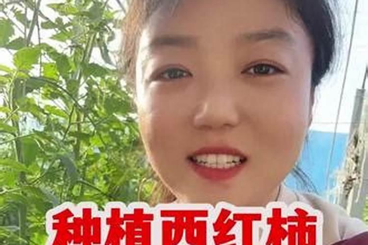 番茄在开花的这个阶段用啥叶面肥好呢？