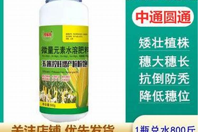 种植土豆发生药害怎么办？