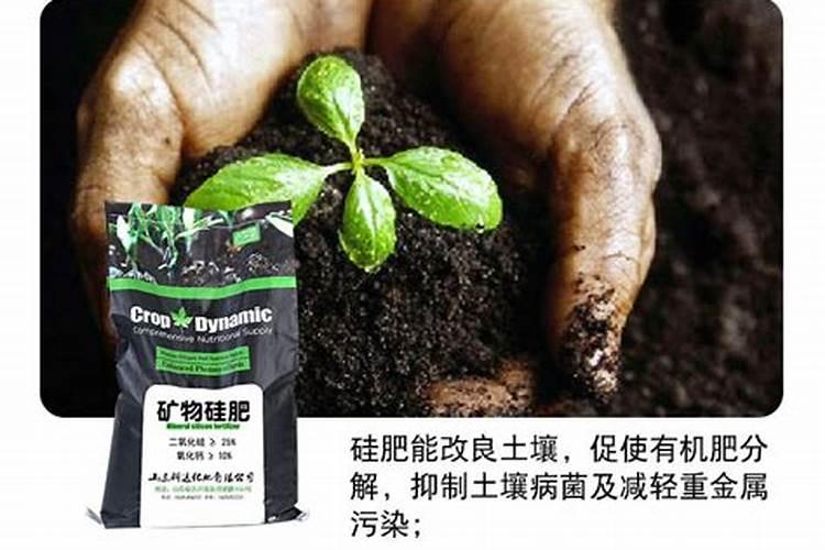 中微肥怎么用适合什么阶段用最好？？