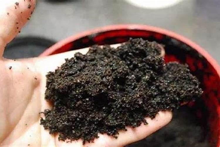 普洱茶能浇花吗
