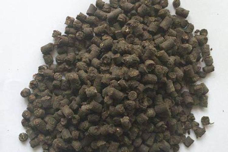 多肉适合施什么肥料