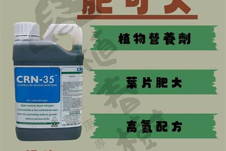 多肉植物用什么肥料比较好？