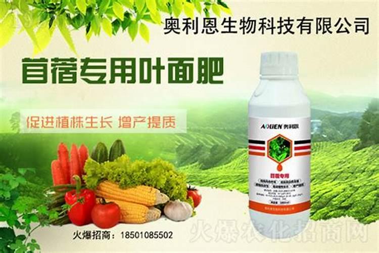 苜蓿底肥放什么肥好(底肥施用方法)