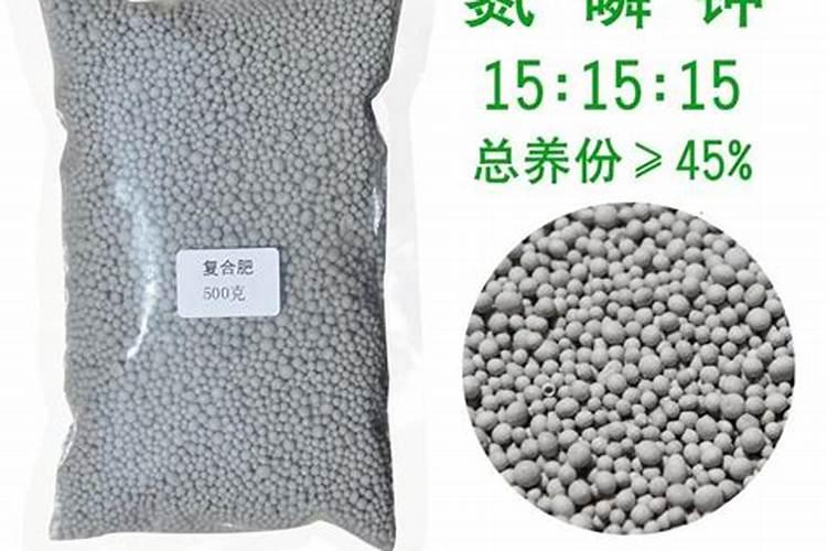 马尼拉草坪怎么养护？