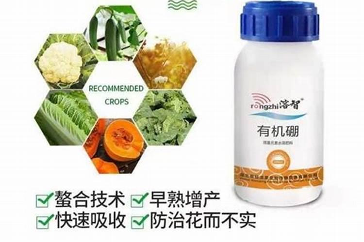 自制磷肥肥有哪些