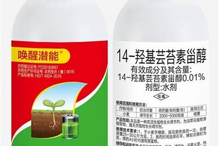 西红柿浇水的正确方法