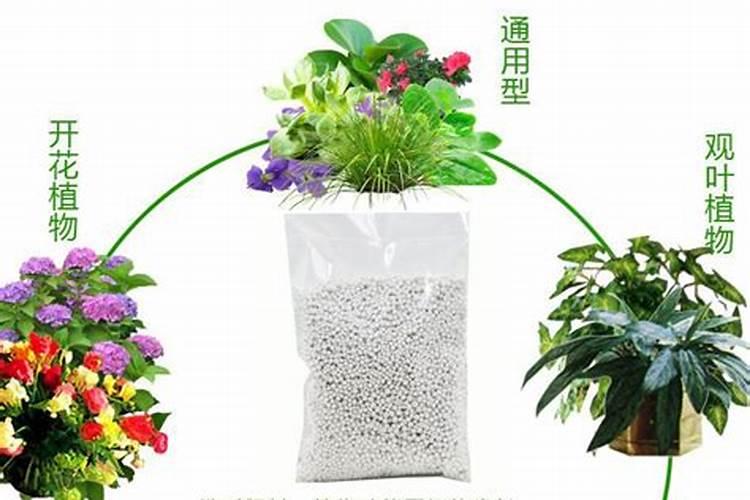 养花如何选购肥料 养花的肥料该怎么选