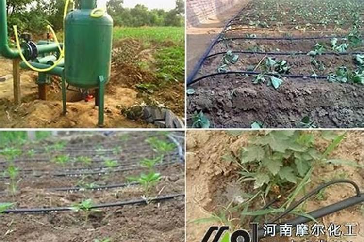 水溶肥加水溶化后能放多久