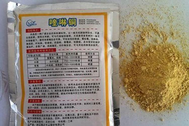 西红柿不好看还烂果,怎么补救？