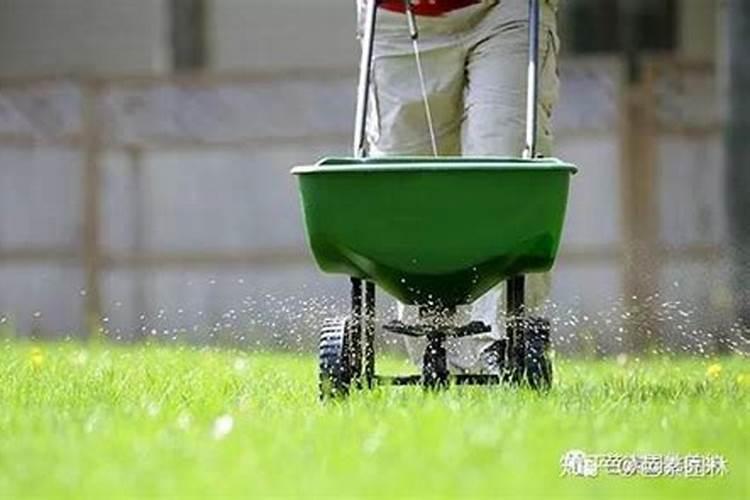 大师:为什么砍树修枝一定要大寒是迷信吗？