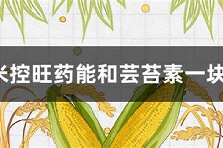 高钾肥料有哪些？高钾肥料使用事项