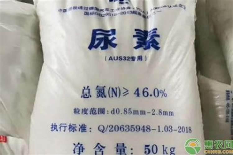 稻子黄了黄得像什么