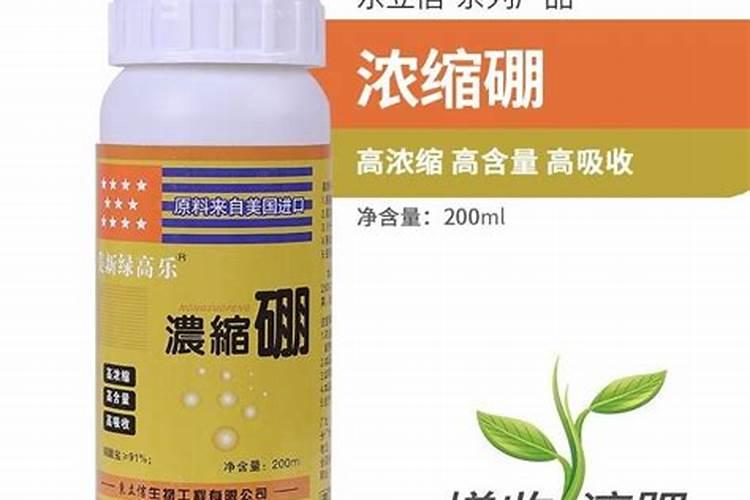 硼肥在什么时候喷施好(硼肥施肥要在雨天还是晴天)