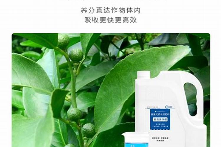 国光杜高哪个好磷酸二氢钾