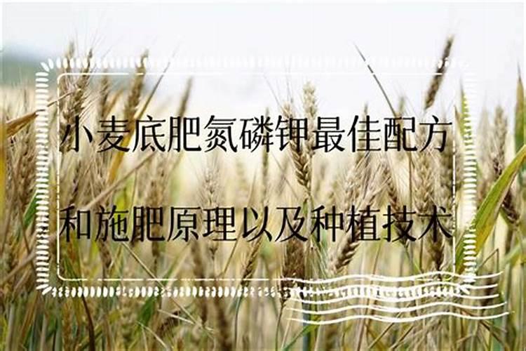 花生播种前多久施加底肥氮磷钾人工合成的复合肥最好？