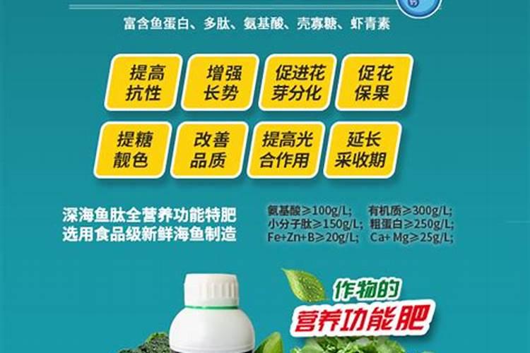夏秋茬蔬菜种植,如何浇好前三水？