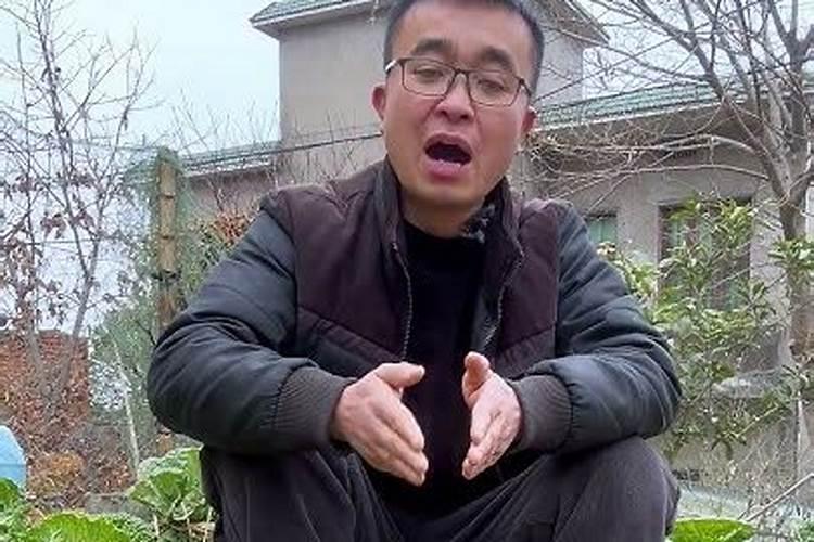 水稻钾肥的正确使用方法及注意事项