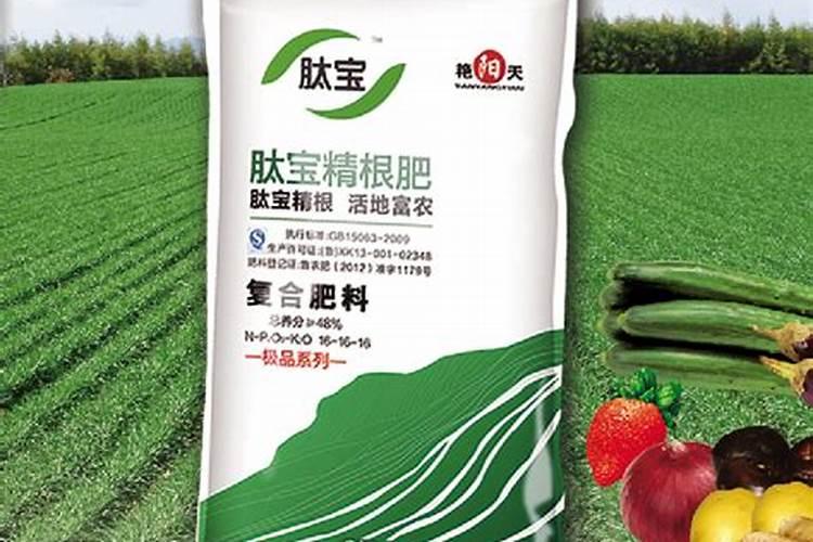 鱼蛋白水溶肥可以浇什么花？