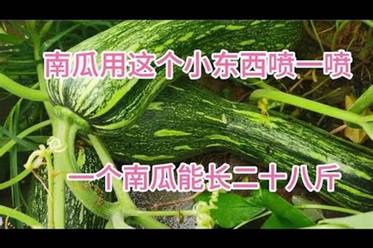 氮肥的作用