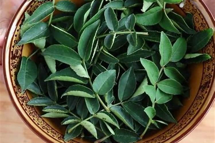 花椒树什么时候可以喷施叶面肥？