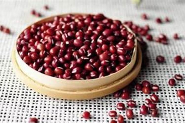 桉树追肥用什么肥料好