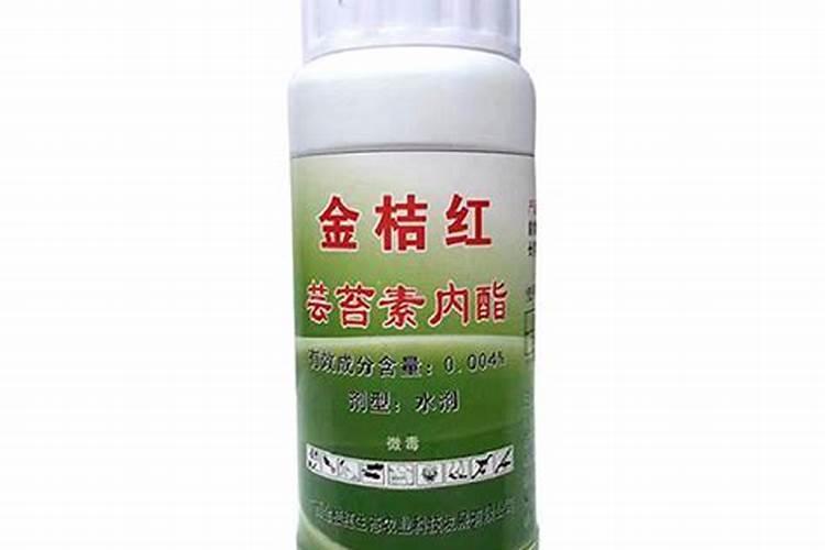 金桔树一年开了四次花为什么不接？
