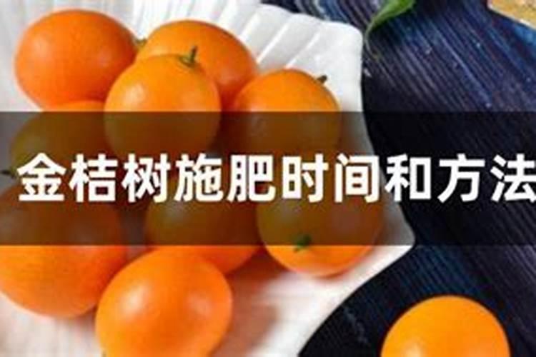 金桔树打什么药会早熟