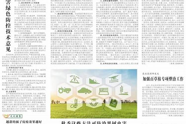 用肥过量使用的危害,氮肥过量的防止办法