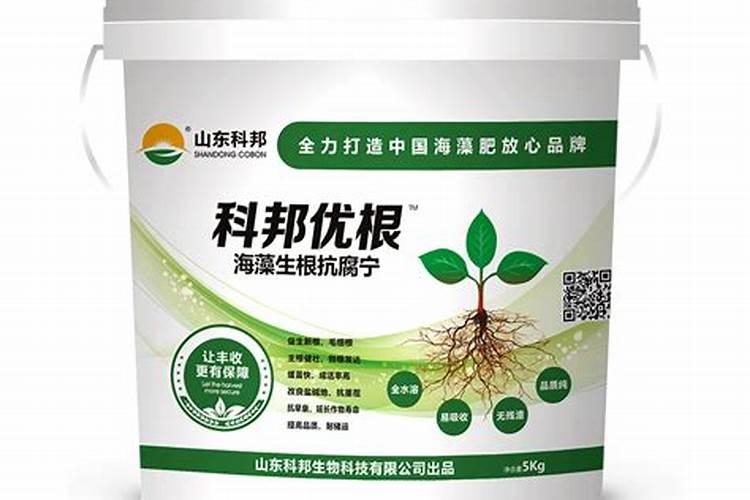 盐城市百信农业科技有限公司怎么样？