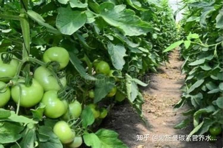 谁能告诉我化学前20个元素能组成哪些物质？