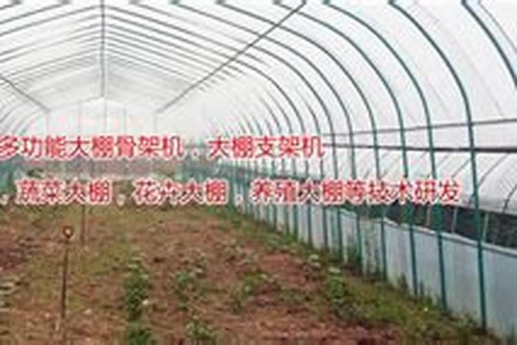 茶树肥料能用作油菜肥料吗？