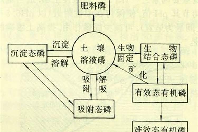 水稻氮肥过多如何补救 附症状