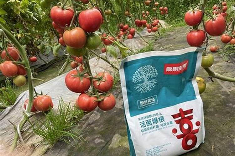 硫酸钾复合肥适用花卉 养的花能用硫酸钾复合肥吗